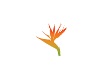 Noches De Colombia Union City logo